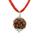 Rudraksha