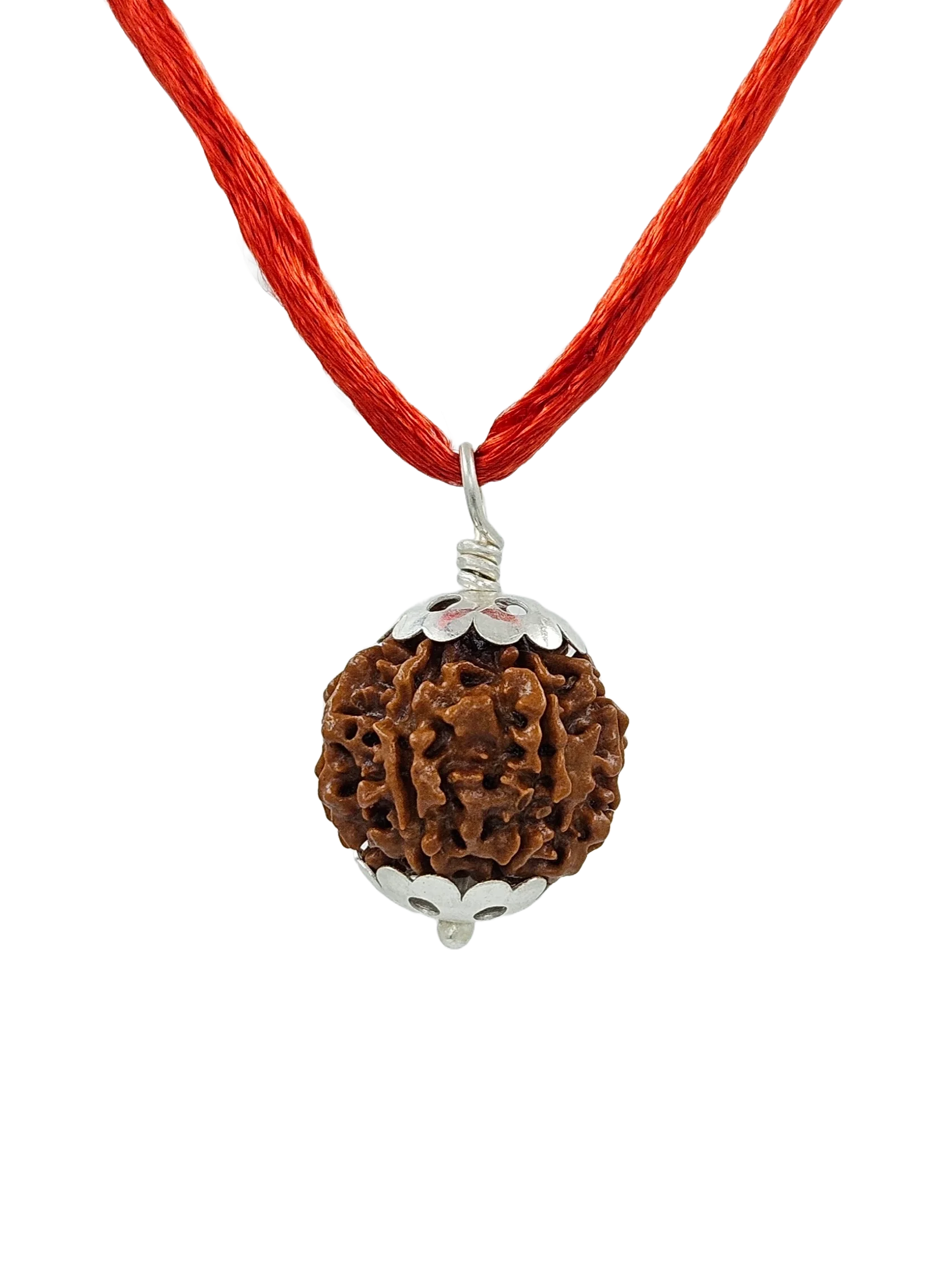 Certified Mukhi Rudraksha Pendant in Sterling Silver