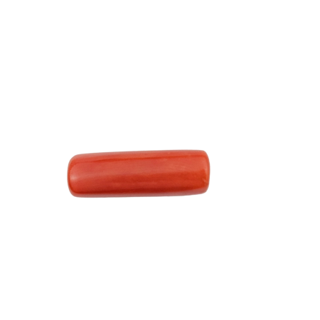 Italian Coral (Moonga)