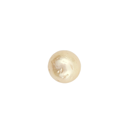 South Sea Golden Pearl (Golden Moti) - Export Quality