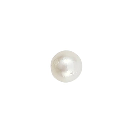 South Sea Pearl (South Sea Moti) - Export Quality