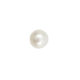 South Sea Pearl (South Sea Moti) - Export Quality