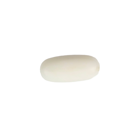 White Coral (Safed Moonga) - Export Quality